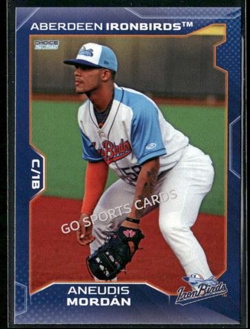 2025 Aberdeen Ironbirds Aneudis Mordan