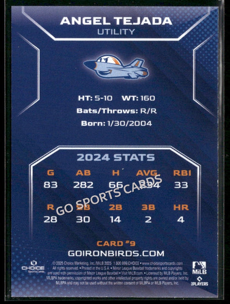 2025 Aberdeen Ironbirds Angel Tejada