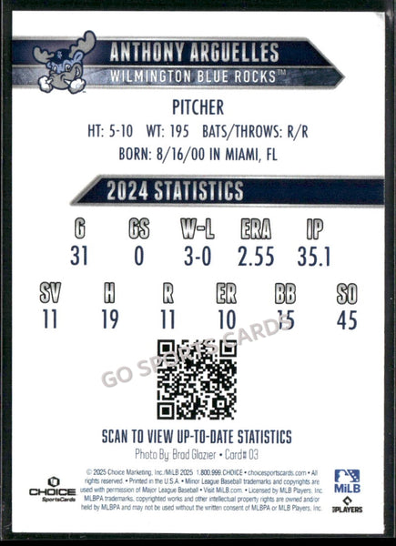 2025 Wilmington Blue Rocks Anthony Arguelles