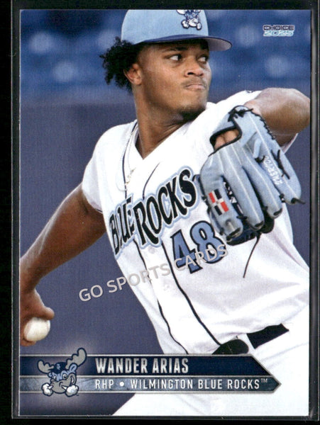 2025 Wilmington Blue Rocks Wander Arias