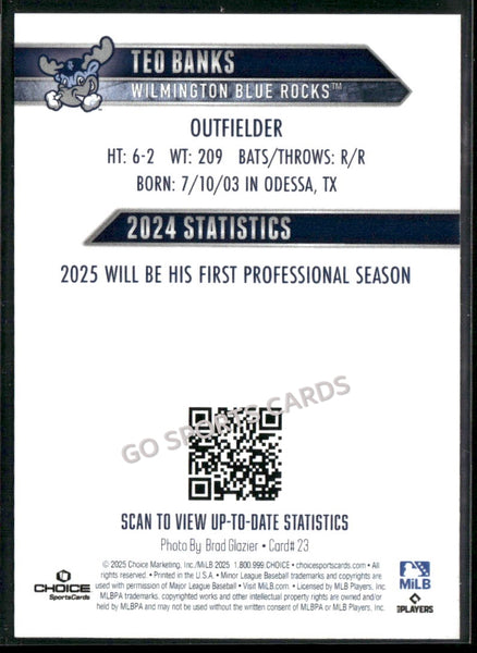 2025 Wilmington Blue Rocks Teo Banks