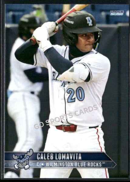 2025 Wilmington Blue Rocks Caleb Lomavita