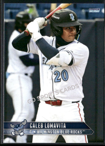 2025 Wilmington Blue Rocks Caleb Lomavita