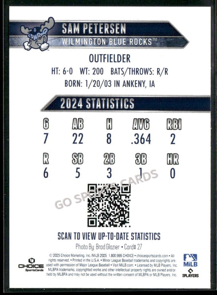 2025 Wilmington Blue Rocks Sam Petersen