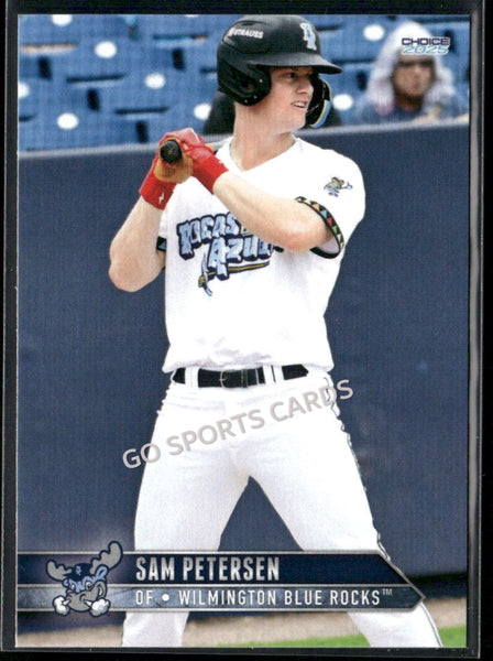 2025 Wilmington Blue Rocks Sam Petersen