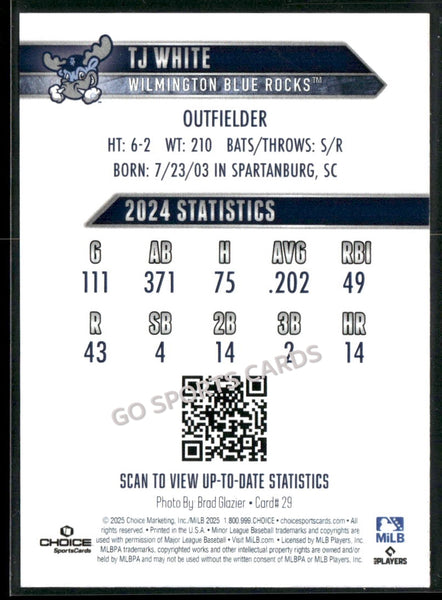 2025 Wilmington Blue Rocks TJ White