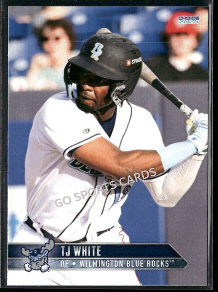 2025 Wilmington Blue Rocks TJ White