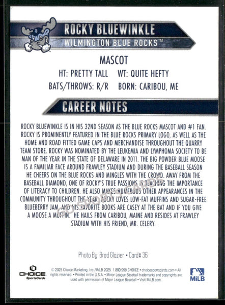 2025 Wilmington Blue Rocks Rocky Bluewinkle