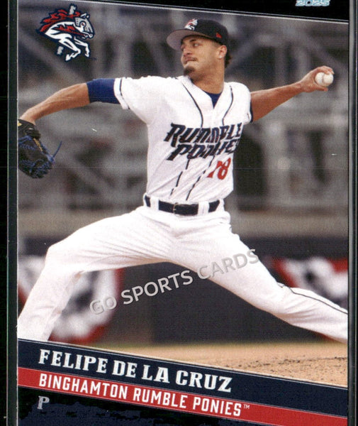 2025 Binghamton Rumble Ponies Felipe De La Cruz