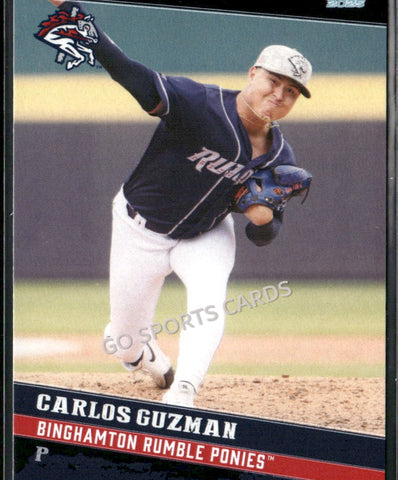 2025 Binghamton Rumble Ponies Carlos Guzman