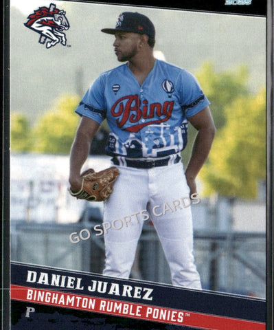 2025 Binghamton Rumble Ponies Daniel Juarez