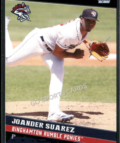 2025 Binghamton Rumble Ponies Joander Suarez