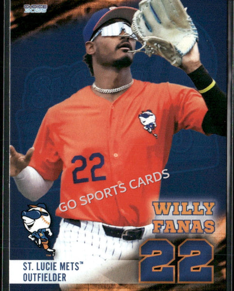 2025 St Lucie Mets Willy Fanas