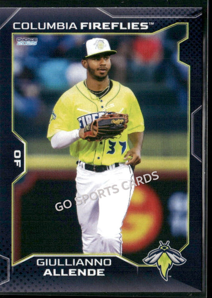 2025 Columbia Fireflies Giullianno Allende