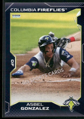 2025 Columbia Fireflies Asbel Gonzalez