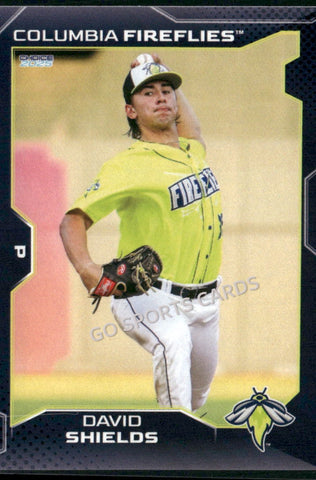 2025 Columbia Fireflies David Shields