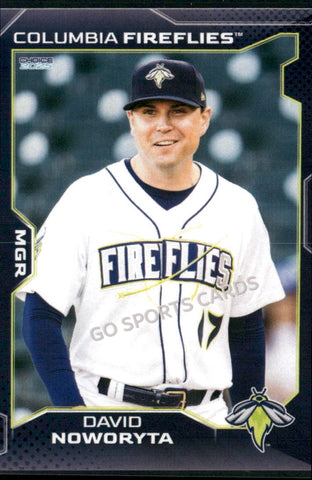 2025 Columbia Fireflies David Noworyta