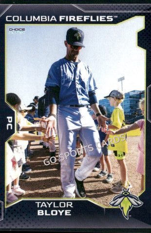 2025 Columbia Fireflies Taylor Bloye