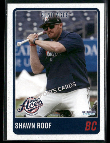 2025 Reno Aces Shawn Roof