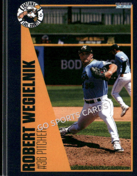 2025 Lake County Captains Robert Wegielnik