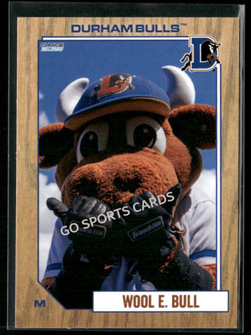 2025 Durham Bulls Wool E Bull