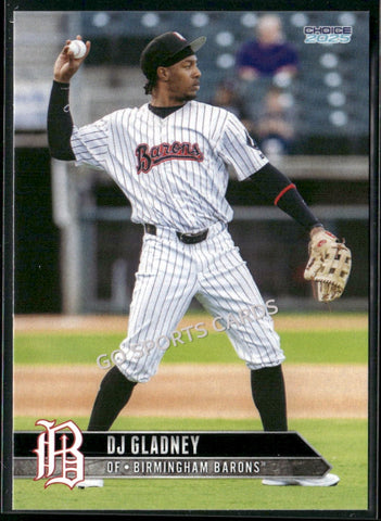2025 Birmingham Barons DJ Gladney
