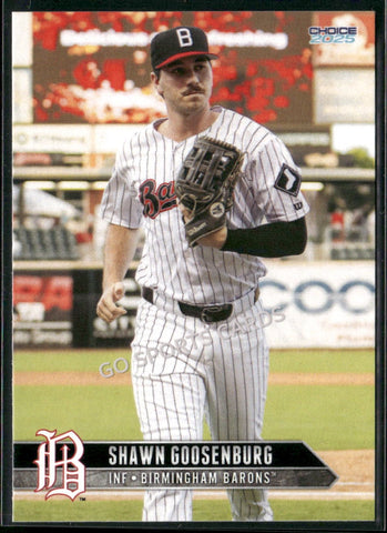 2025 Birmingham Barons Shawn Goosenberg