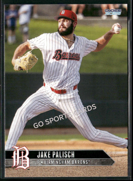 2025 Birmingham Barons Jake Palisch