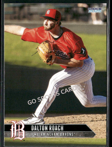 2025 Birmingham Barons Dalton Roach