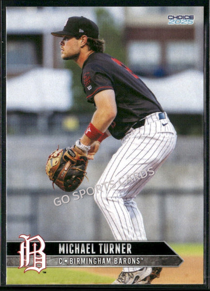 2025 Birmingham Barons Michael Turner