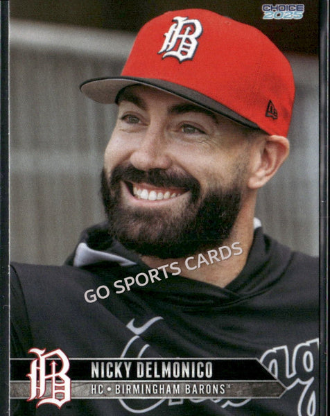 2025 Birmingham Barons Nicky Delmonico