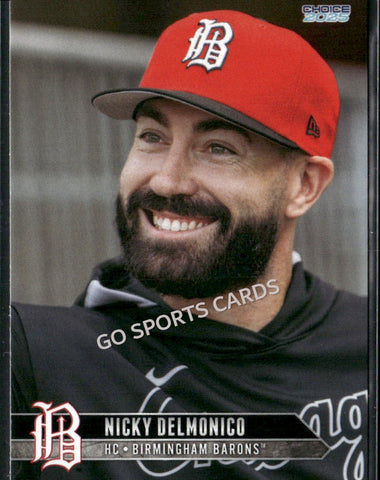 2025 Birmingham Barons Nicky Delmonico