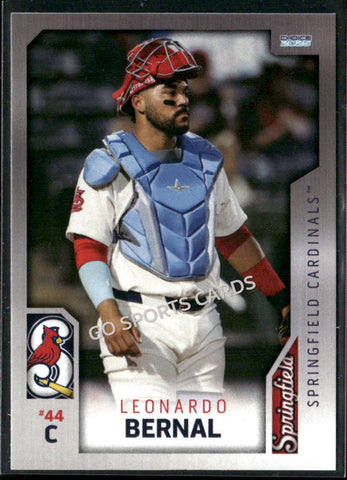 2025 Springfield Cardinals Leonardo Bernal