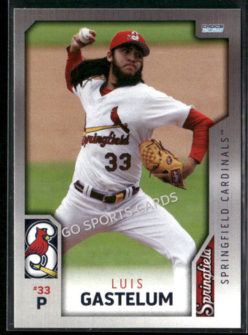 2025 Springfield Cardinals Luis Gastelum
