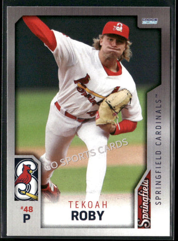 2025 Springfield Cardinals Tekoah Roby