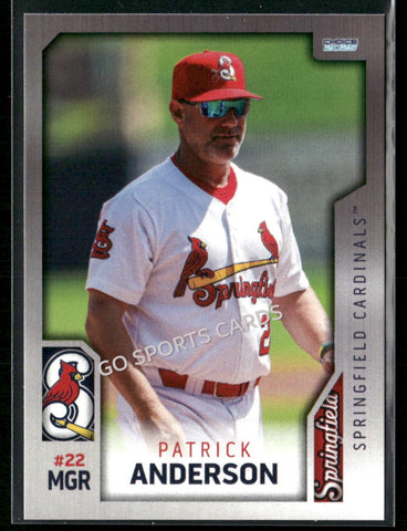 2025 Springfield Cardinals Patric Anderson