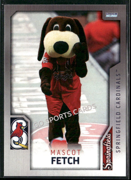 2025 Springfield Cardinals Fetch Mascot
