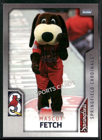 2025 Springfield Cardinals Fetch Mascot