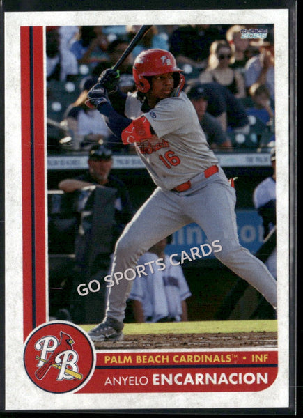 2025 Palm Beach Cardinals Anyelo Encarnacion