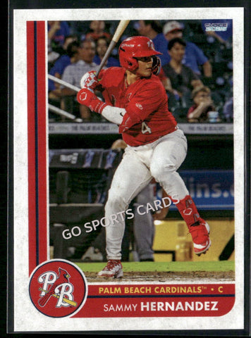 2025 Palm Beach Cardinals Sammy Hernandez