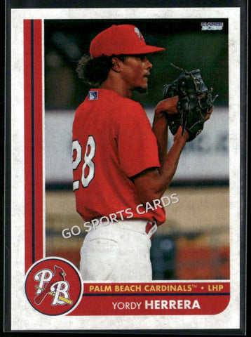 2025 Palm Beach Cardinals Yordy Herrera