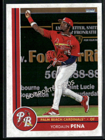 2025 Palm Beach Cardinals Yordalin Pena