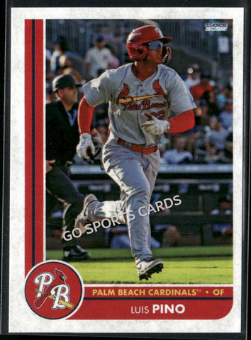 2025 Palm Beach Cardinals Luis Pino