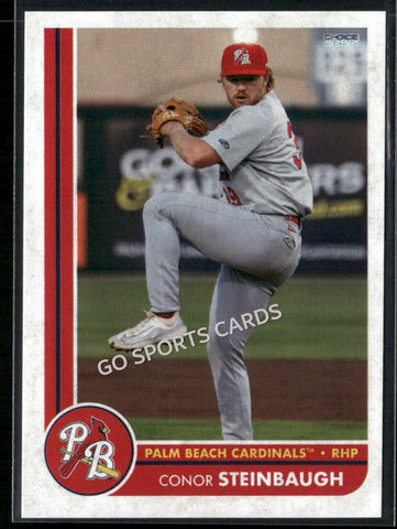 2025 Palm Beach Cardinals Conor Steinbaugh