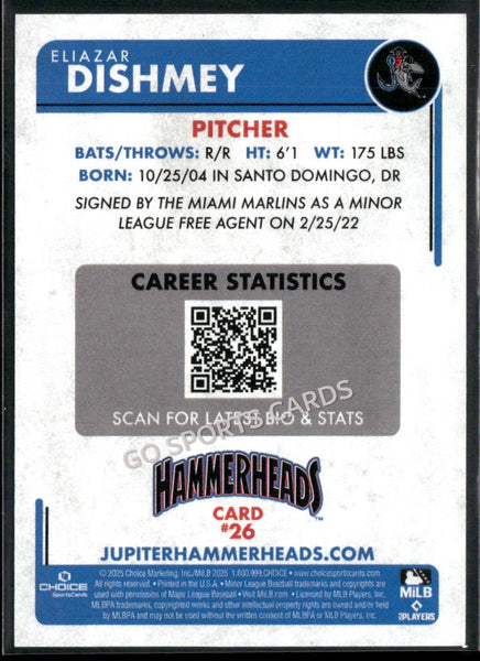 2025 Jupiter Hammerheads Eliazar Dishmey