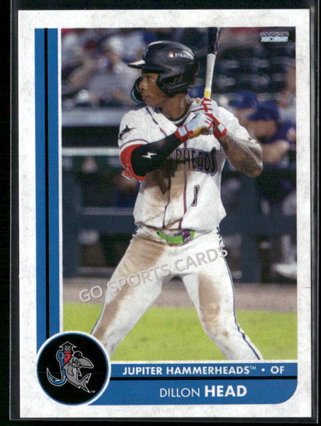 2025 Jupiter Hammerheads Dillon Head