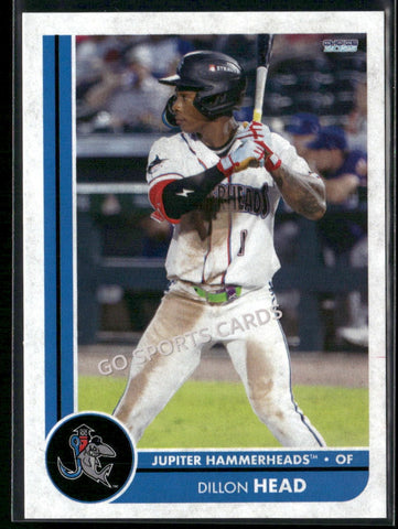 2025 Jupiter Hammerheads Dillon Head