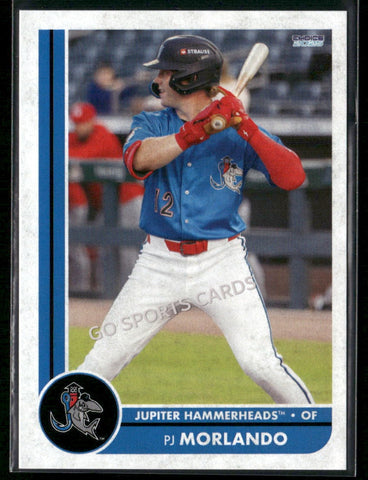 2025 Jupiter Hammerheads PJ Morlando