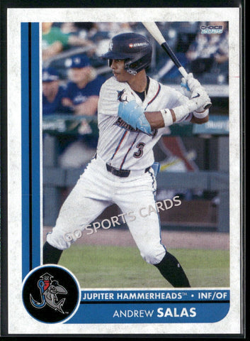2025 Jupiter Hammerheads Andrew Salas