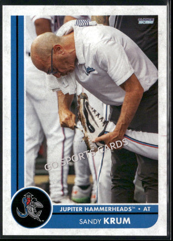 2025 Jupiter Hammerheads Sandy Krum